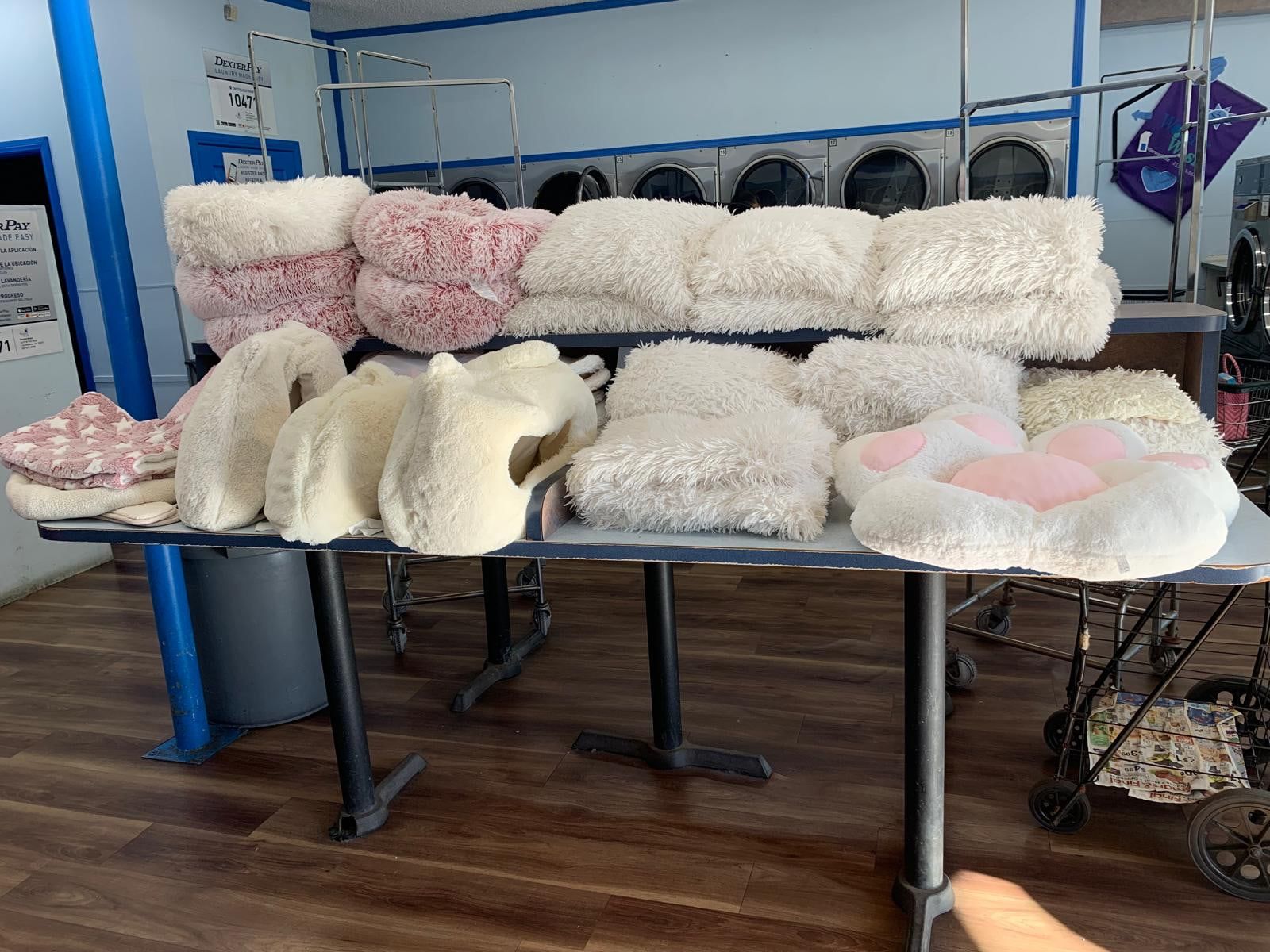 Plush pet beds and cushions, freshly washed and fluffed at WonderWash Pico Blvd