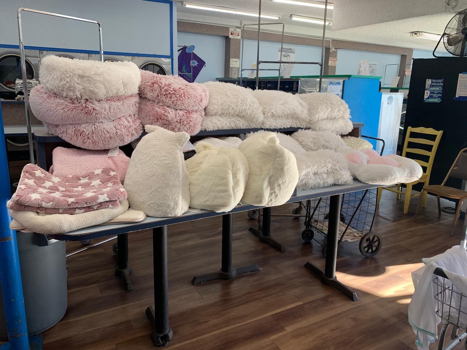 Fluffy pet beds and blankets on the folding table inside WonderWash Pico Blvd